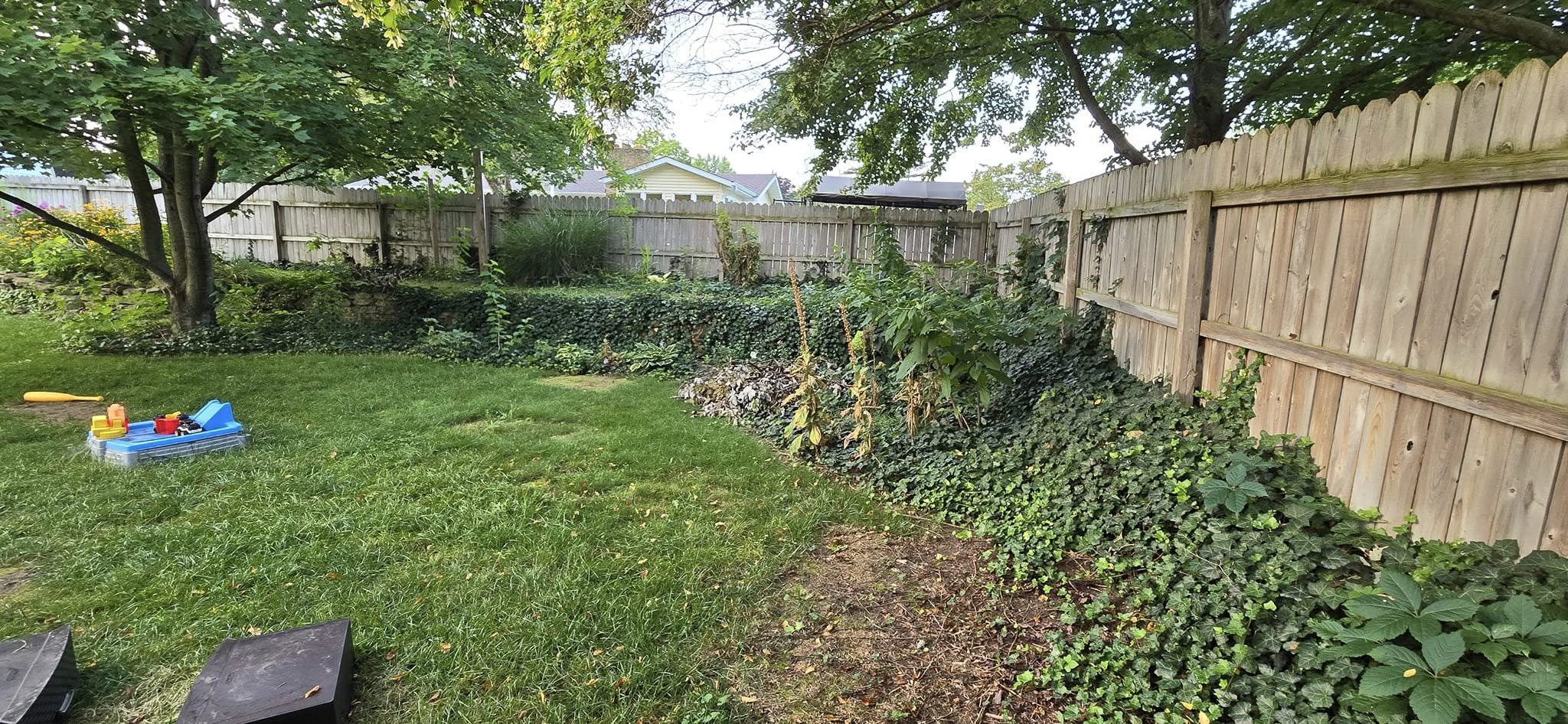 Complete Landscape Transformation - Before